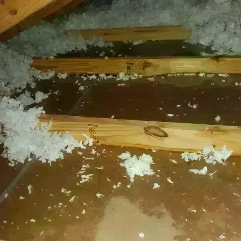 Attic Water Damage in Lincoln, RI