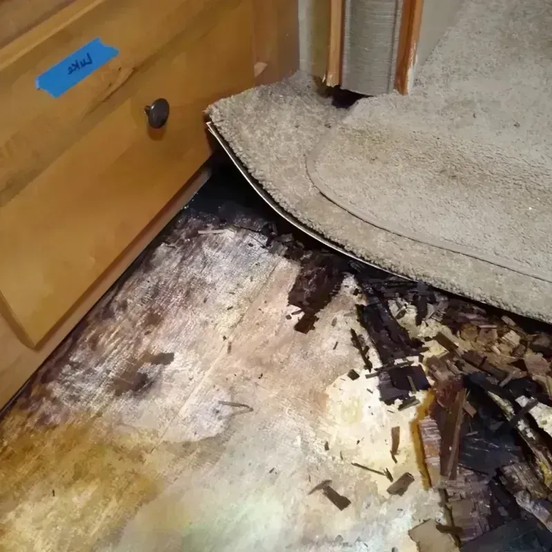 Best Wood Floor Water Damage Service in Lincoln, RI